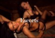 London Escorts